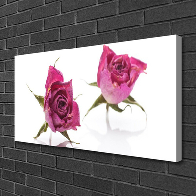 Quadro em tela Planta de flores rosas