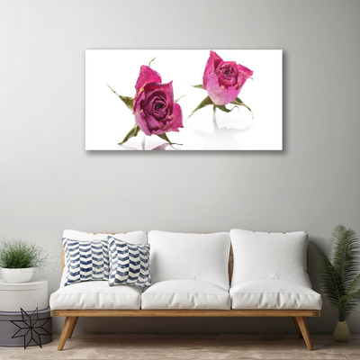 Quadro em tela Planta de flores rosas