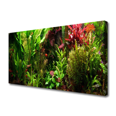Quadro canvas Plantas Flores Natureza
