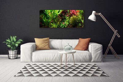 Quadro canvas Plantas Flores Natureza