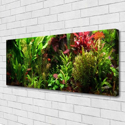 Quadro canvas Plantas Flores Natureza