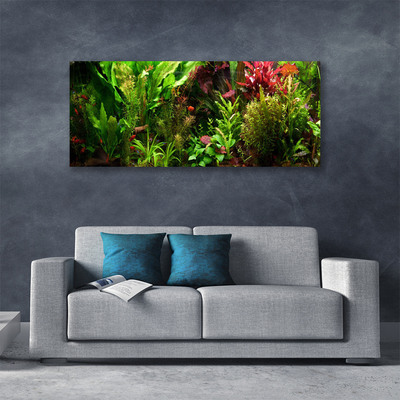 Quadro canvas Plantas Flores Natureza