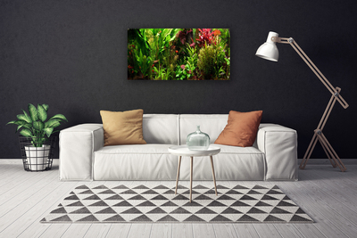 Quadro canvas Plantas Flores Natureza