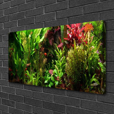 Quadro canvas Plantas Flores Natureza