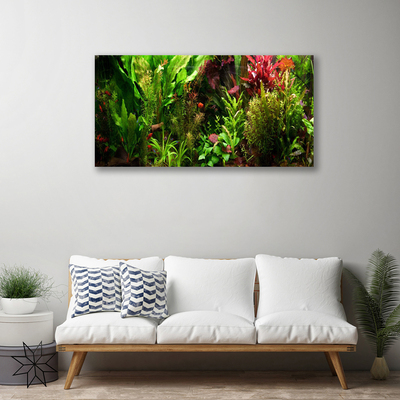 Quadro canvas Plantas Flores Natureza