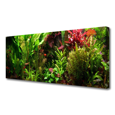 Quadro canvas Plantas Flores Natureza