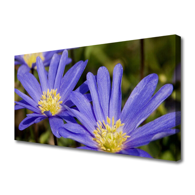 Quadro em tela Flores Planta Natureza