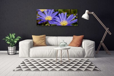 Quadro em tela Flores Planta Natureza