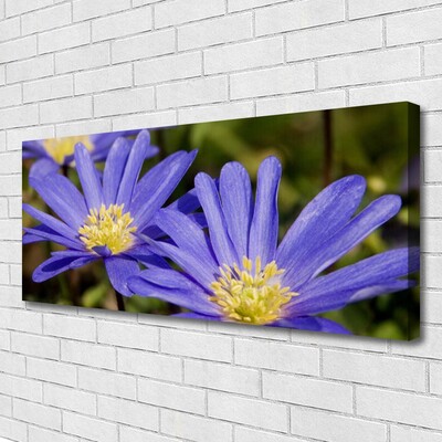 Quadro em tela Flores Planta Natureza