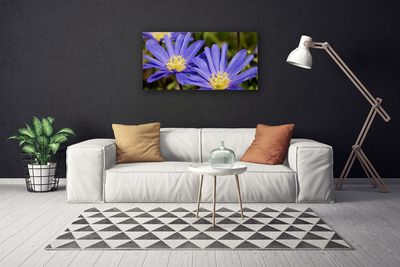 Quadro em tela Flores Planta Natureza