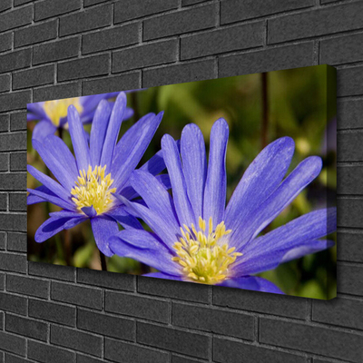 Quadro em tela Flores Planta Natureza