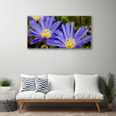 Quadro em tela Flores Planta Natureza
