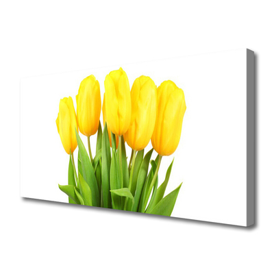 Quadro canvas Tulipas Flores Planta
