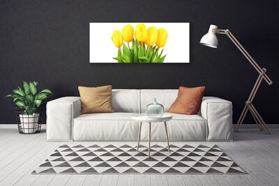 Quadro canvas Tulipas Flores Planta