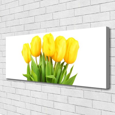 Quadro canvas Tulipas Flores Planta