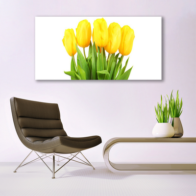 Quadro canvas Tulipas Flores Planta