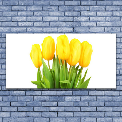 Quadro canvas Tulipas Flores Planta