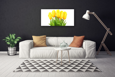 Quadro canvas Tulipas Flores Planta
