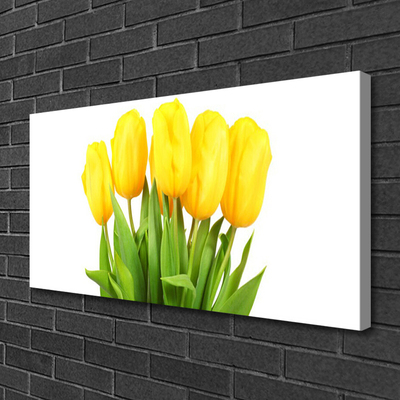 Quadro canvas Tulipas Flores Planta