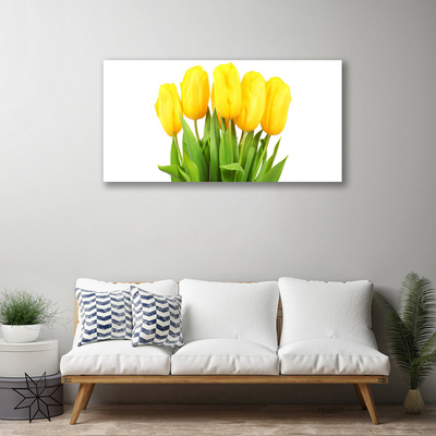 Quadro canvas Tulipas Flores Planta