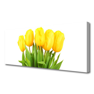 Quadro canvas Tulipas Flores Planta