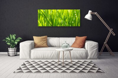 Quadro em tela Natureza da planta grama