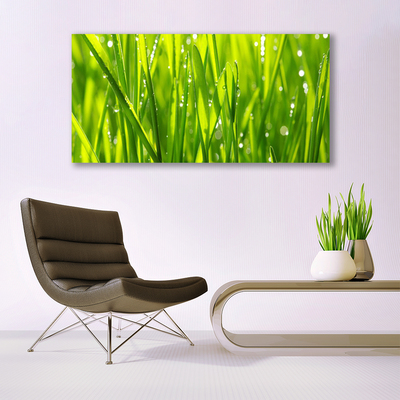 Quadro em tela Natureza da planta grama