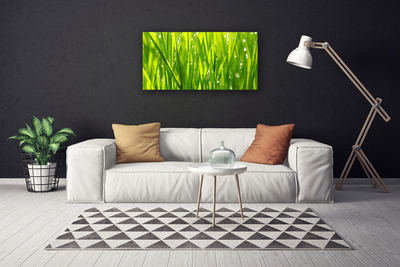 Quadro em tela Natureza da planta grama