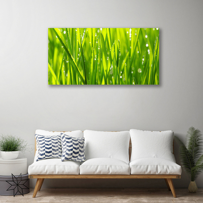 Quadro em tela Natureza da planta grama