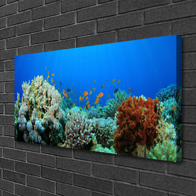Quadro em tela Natureza dos recifes de corais