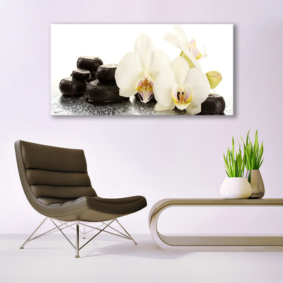 Quadro canvas Flor de orquídea branca