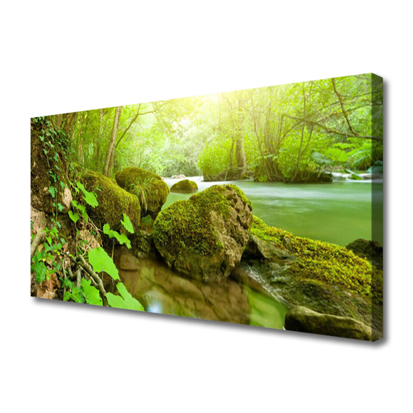 Quadro em tela Lago Rio Natureza