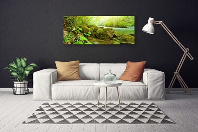 Quadro em tela Lago Rio Natureza