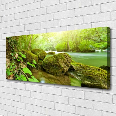 Quadro em tela Lago Rio Natureza