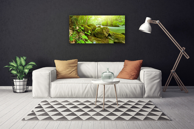 Quadro em tela Lago Rio Natureza