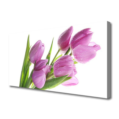 Quadro canvas Tulipas Flores Planta