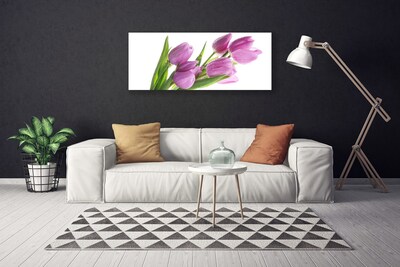 Quadro canvas Tulipas Flores Planta