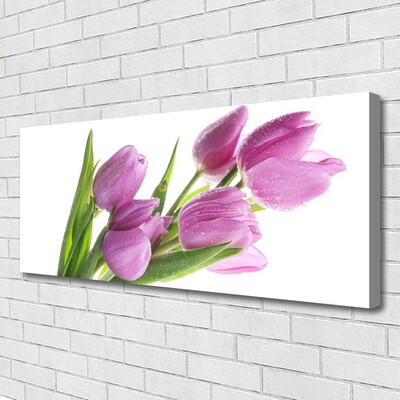 Quadro canvas Tulipas Flores Planta