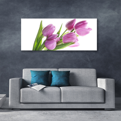 Quadro canvas Tulipas Flores Planta
