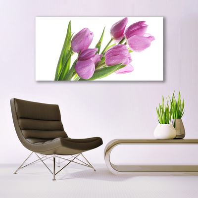 Quadro canvas Tulipas Flores Planta