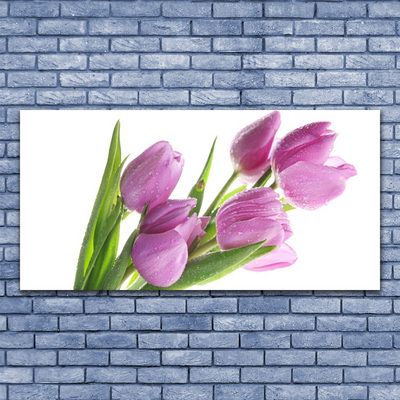 Quadro canvas Tulipas Flores Planta