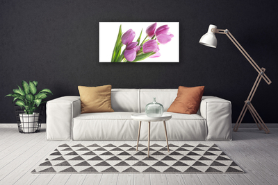 Quadro canvas Tulipas Flores Planta