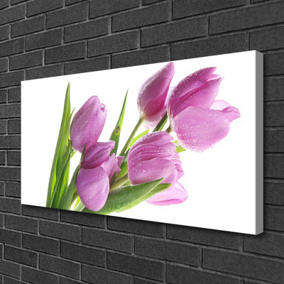 Quadro canvas Tulipas Flores Planta