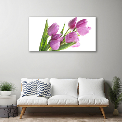 Quadro canvas Tulipas Flores Planta