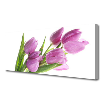 Quadro canvas Tulipas Flores Planta