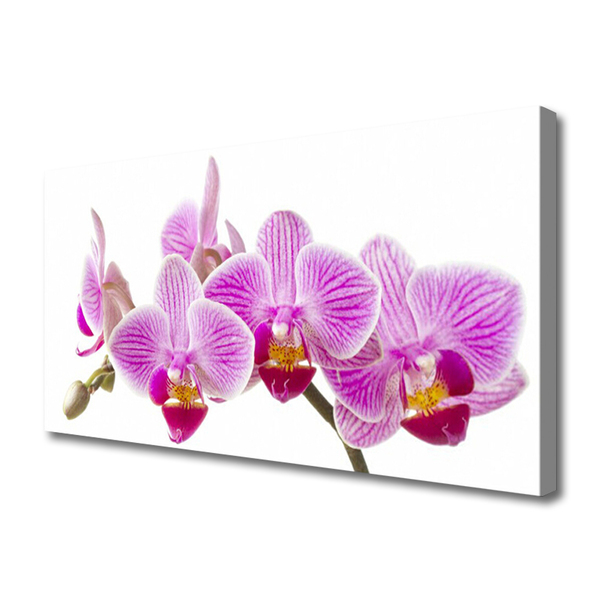 Quadro em tela Flores Planta Natureza