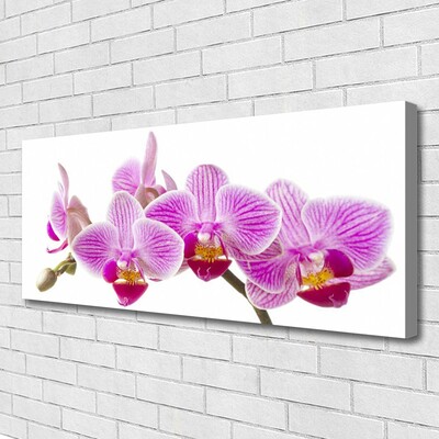 Quadro em tela Flores Planta Natureza