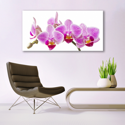 Quadro em tela Flores Planta Natureza