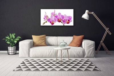 Quadro em tela Flores Planta Natureza