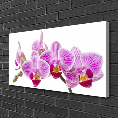 Quadro em tela Flores Planta Natureza